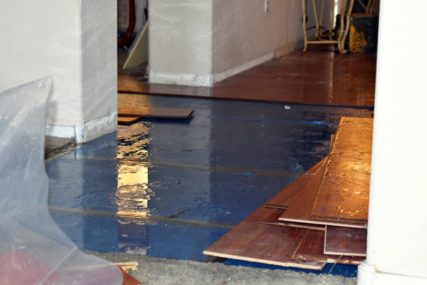 Professional Basement Water Removal technician working in Courtland, MN