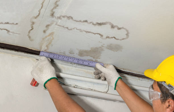 Reliable Basement Water Removal contractor in Courtland, MN by Water Damage Irwin